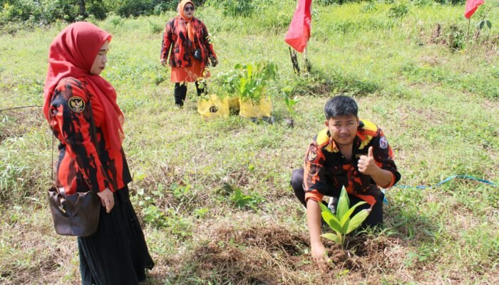 PP Balangan tanam puluhan bibit pohon dalam aksi peduli penghijauan