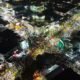 Suasana jalan yang dipadati oleh jemaah saat kegiatan haul ke-20 Guru Sekumpul di Martapura Kabupaten Banjar, Kalimantan Selatan, Ahad (5/1/2025). KATAKUNCI/tangkapan layar dari Doyan Drone