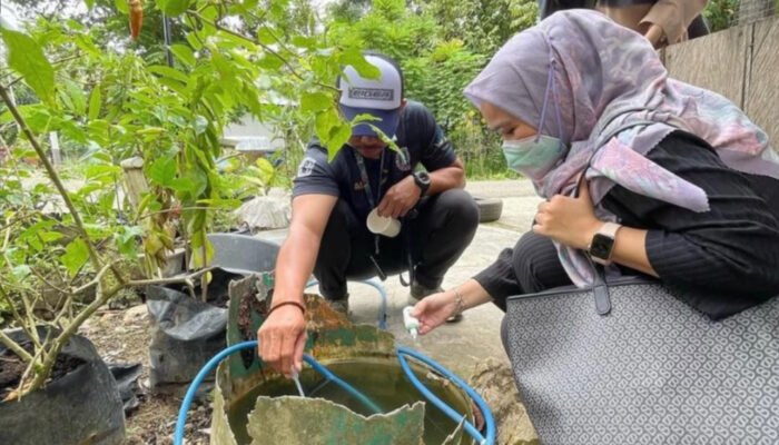 Kasus DBD di Balangan turun tajam