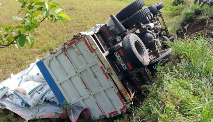 Truk bermuatan pupuk terguling di persawahan warga