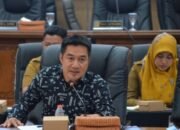 DPRD Balangan dorong prioritaskan Perda perlindungan anak