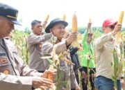 Panen raya Jagung di HST buktikan kemitraan Polri dan Petani wujudkan swasembada pangan