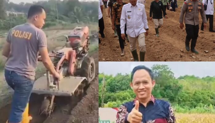 Asta Cita di Balik Seragam, Iptu Paisal Kadafi dan Hamparan Jagung Harapan di Balangan   