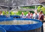 Bupati HST Kunjungi Kolam “Sumur Candi” di Pelajau, Beri Panduan Praktis Petani Ikan