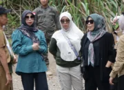 Ketua DPRD Balangan dan Disporapar kunjungi wisata alam Batu Ajung