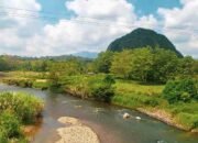 Tebing Tinggi di Kaki Meratus: Harmoni Tebing Curam dan Tradisi Dayak Pitap