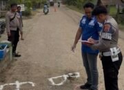 Siswa SD di Wawai Tewas Tergilas Truk Usai Terjatuh dari Sepeda