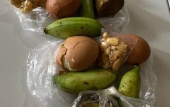 BGN Hentikan Sementara Operasional SPPG Pantai Batung HST