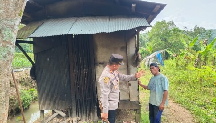Penyerangan Menggunakan Senjata Tajam di Kebun Tomat HST, Sepasang Suami Istri Luka Parah