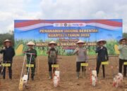 Polres dan Pemkab Balangan Sulap 64 Hektar Lahan Jadi Lumbung Jagung