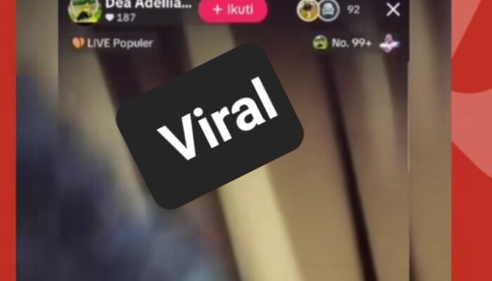 Polisi Bakal Panggil Pemilik Akun ‘Dea Adellia’, Selidiki Penyebar Pertama Video Viral Kades di Balangan