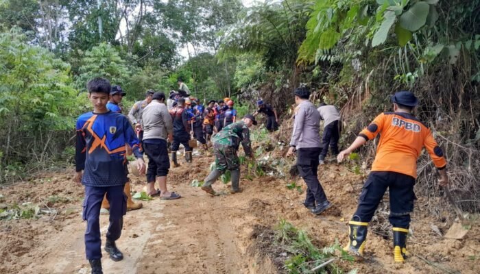 Jalan di Patikalain Tertutup Longsor, Tim Gabungan Bergerak Cepat Buka Akses