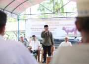 Bupati HST Serahkan Sapi Kurban Presiden Prabowo untuk Warga Kayu Rabah