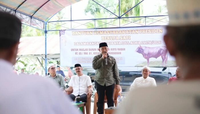 Bupati HST Serahkan Sapi Kurban Presiden Prabowo untuk Warga Kayu Rabah