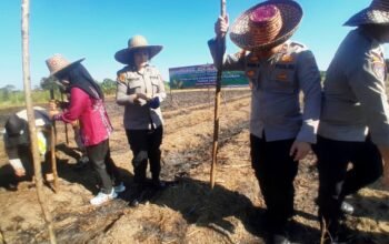 Dukung ketahanan pangan nasional, Polsek Tapin Utara tanam jagung serentak