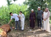 Polres HST Gelar Potong Hewan Kurban, Wujud Syukur dan Kepedulian Sosial