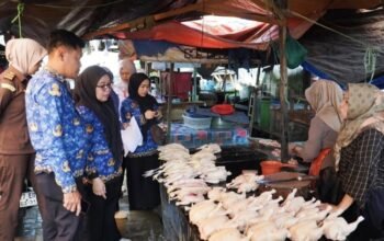 TPID HST Cek Harga di Pasar Karamat, Sebagian Komoditas Stabil Menjelang Idul Adha