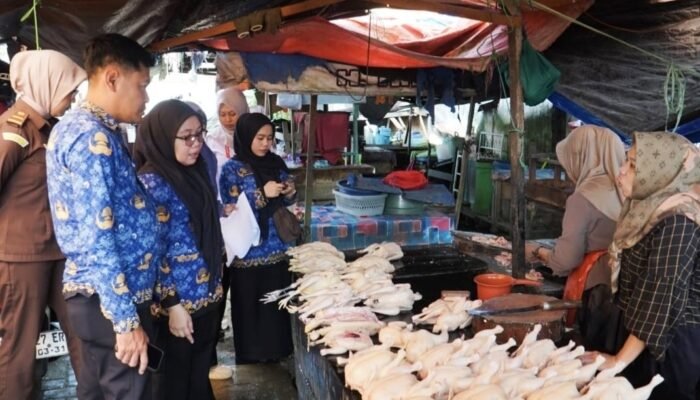 TPID HST Cek Harga di Pasar Karamat, Sebagian Komoditas Stabil Menjelang Idul Adha