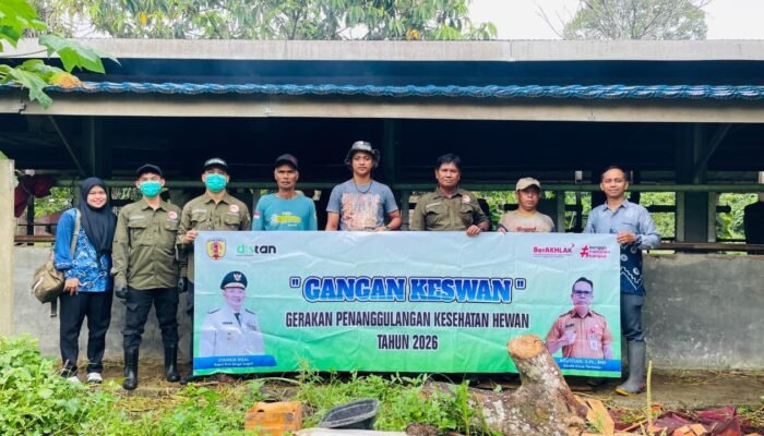 Cek Kesiapan Hewan Kurban: 800 Sapi Diperiksa, Bebas Penyakit Menular dan Layak Potong