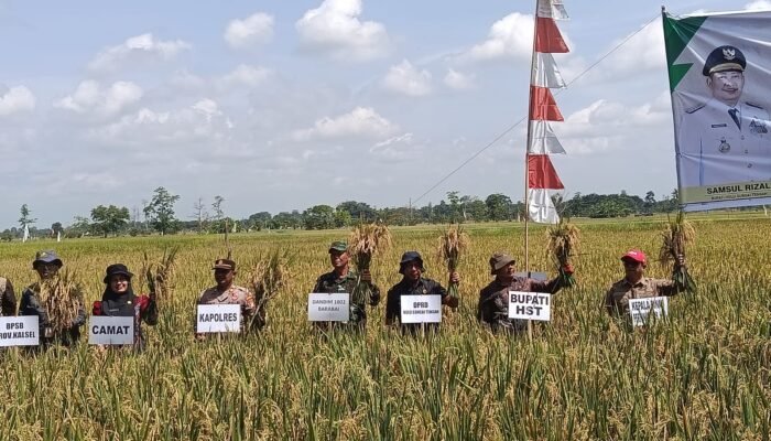 Bupati Samsul Rizal Panen Padi, Wujud Nyata Asta Cita Prabowo