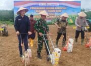 DPRD Balangan Dukung Gerakan Tanam Jagung Serentak Polres untuk Ketahanan Pangan