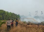 Aksi Cepat Polres Balangan dan Relawan Padamkan Api yang Membakar Hektaraan Lahan