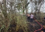Polsek LAU Gerak Cepat Padamkan Hotspot Karhutla di Pemangkih Seberang