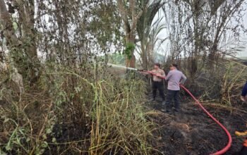 Polsek LAU Gerak Cepat Padamkan Hotspot Karhutla di Pemangkih Seberang