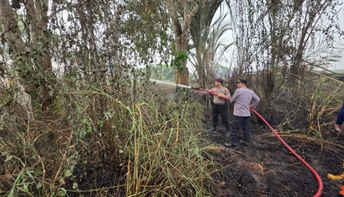 Polsek LAU Gerak Cepat Padamkan Hotspot Karhutla di Pemangkih Seberang