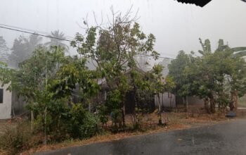 Hujan Deras Guyur HST, Warga Berharap Karhutla dan Kabut Asap Segera Reda