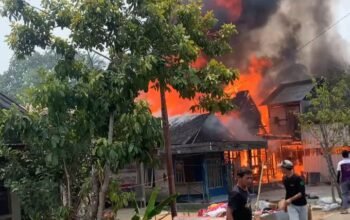 Kemarau Mempersempit Ruang Gerak, Empat Rumah di Murung Taal Ludes Terbakar