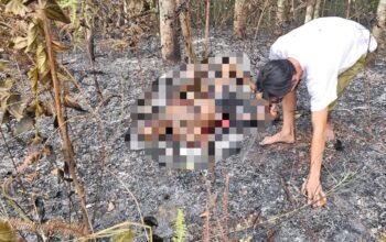 Seorang lansia ditemukan meninggal di lokasi Karhutla Desa Hapulang HST