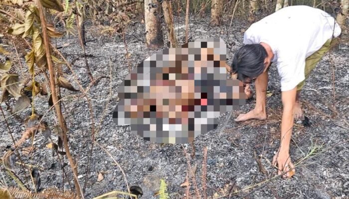 Seorang lansia ditemukan meninggal di lokasi Karhutla Desa Hapulang HST