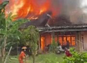 Api Siang Hari Lahap Tiga Rumah di Jaranih, Warga Berjuang Selamatkan Harta Benda