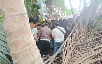 Kejar-kejaran Warnai Penggerebekan Narkoba di HST, Tiga Orang Diamankan